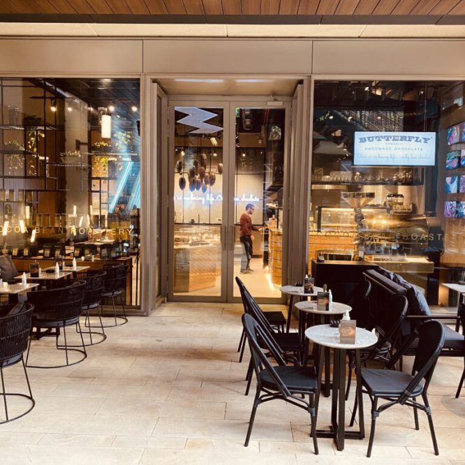 REFERANCES BUTTERFLY CHOCOLATE IMAGE 10